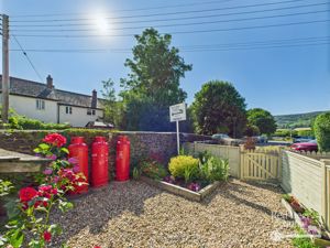 Front Garden- click for photo gallery